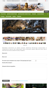 Животные планеты Животные планеты
